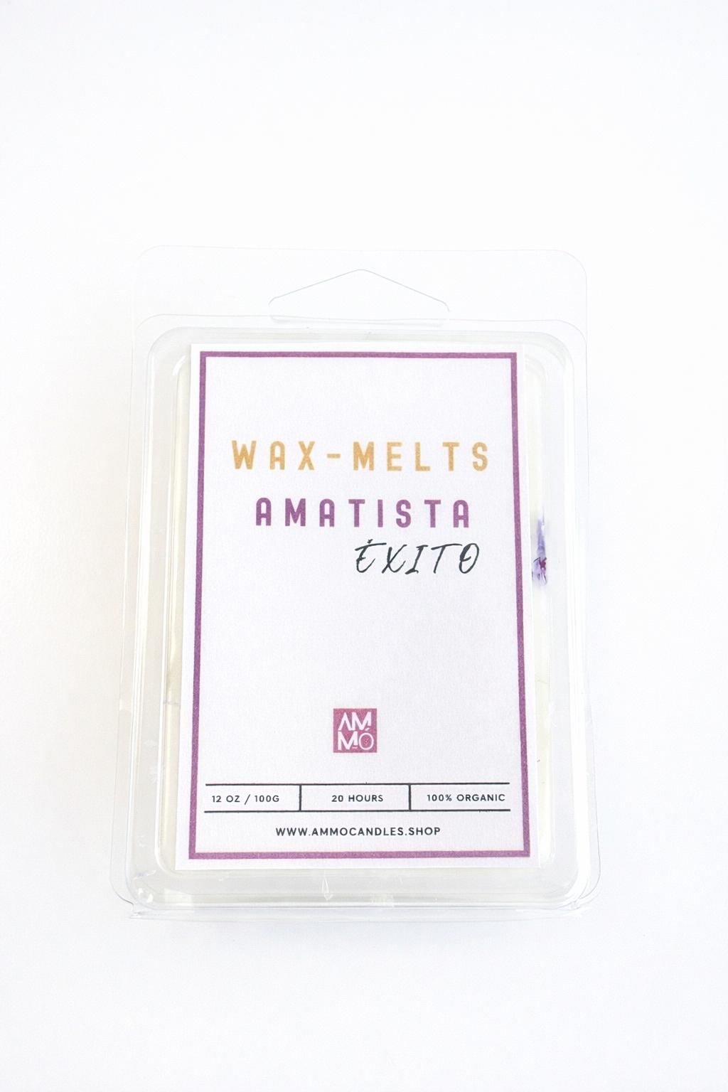 WAX MELTS |PACK 4  BIENESTAR