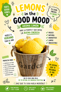 Cesta vela LIMONES | 300g