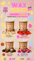 WAX MELTS |PACK 4 AROMAS